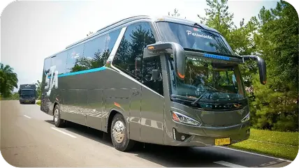 Big Bus (59 Seat)