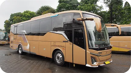 Big Bus + Toilet (43 Seat)