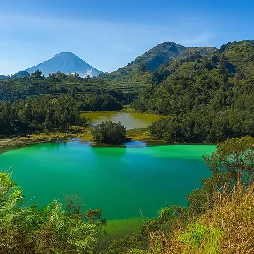 Travel with us this year